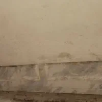 سنگ گناباد۵۰در۲/۵۰|مصالح و تجهیزات ساختمان|مشهد, بهارستان|دیوار