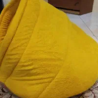 جای خواب سگ