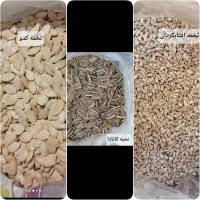 قند شکر روغن سنجد پسته گردو زرشک کشمش خرما تخمه|خوردنی و آشامیدنی|مشهد, هفت تیر (حافظ)|دیوار