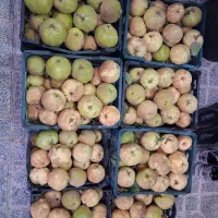 فروش به