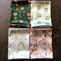 روبالشتی ساتن - پک خواب