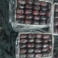 خرمای مضافتی درجه یک