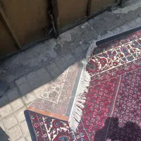 فرش ۱۲متری طرح افشار