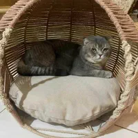 انلاین شاپ برکه/سفارشات