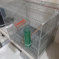 قفس غلام