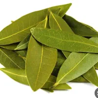 خریداربرگ بو