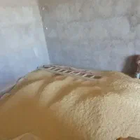 جو آبی جلگه|عمدهفروشی|ایجرود, |دیوار