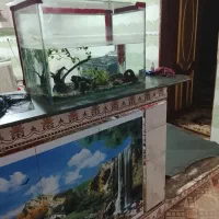 آکواریوم سالم سالم