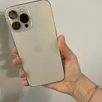 13 pro max