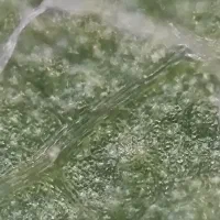 میکروسکوپ پرتابل آکبند چینی بزرگنمایی ۱۰۰ برابر|لوازم التحریر|تهران, نجات اللهی|دیوار