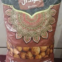 گردو کاغذی