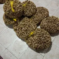 گردو حراج