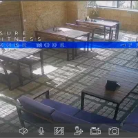 کافه رستوران|کافی‌شاپ و رستوران|یزد, |دیوار