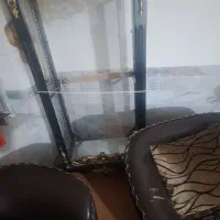 بوفه