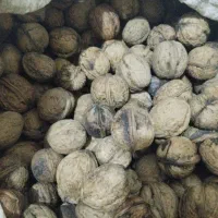فروش محصولات خانگی