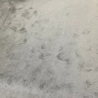موکت پالاز