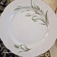 بشقاب و دیس گل گندمی وپارچ