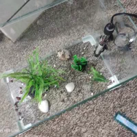 آکواریوم و بخاری ماهی