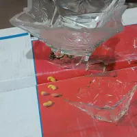 قندان،جام ،پیتزاخوری،شکلات خوری،میوه خوری|ظروف سرو و پذیرایی|تربت‌حیدریه, ابوذر|دیوار