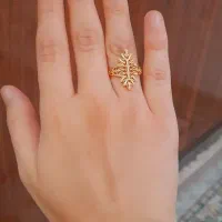بدلیجات رنگ ثابت عربی