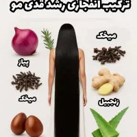 خدمات زیبایی نارجوئیه