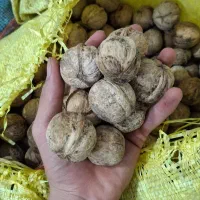 گردو چرب و خشک درجه ۱ امسال