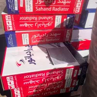 رادیاتور لنت دیسک و صفحه سپر برای خودرو مشکی بژنوک