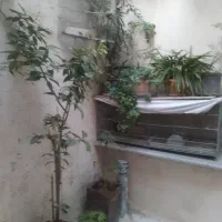 ۹۰ متر / خونه دربستی دوطبقه/ داورزنی|اجارهٔ خانه و ویلا|تهران, شیوا|دیوار