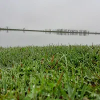 تور گروهی گیلان لحظه آخری
