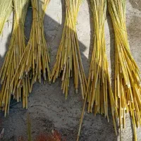 جارو خوب|لوازم نظافت|الشتر, |دیوار