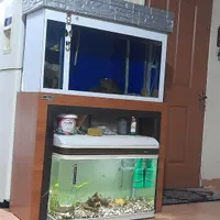 اکواریوم با سامپ