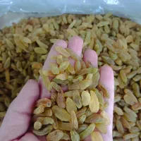 کشمش سبز قلمی|خوردنی و آشامیدنی|اصفهان, روشن‌دشت|دیوار