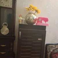جاکفشی|جاکفشی، کمد، دراور|شیراز, گلستان|دیوار