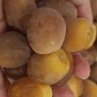رطب هلیله عسلی تازه دست چین شده فقط550