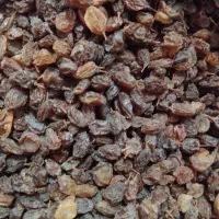 کشمش آفتابی بدون تیزاب