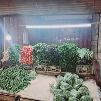 سبزی صدرصداورگانیک یک بارامتحان کن فقط