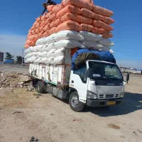 خرید وفروش  نهاده دام|خدمات باغبانی و درختکاری|سبزوار, امیر کبیر|دیوار