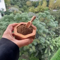 ادویه جات و خشکبار جانساقی|عمده‌فروشی|رامسر, |دیوار