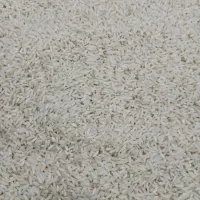 برنج علی کاظمی محلی بدون سم زدایی طبیعی