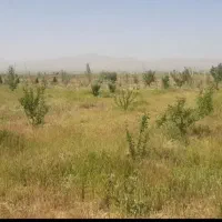 باغشهر  مینو دشت اشراق