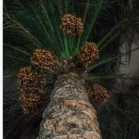 فروش خونه تجاری مسکونی