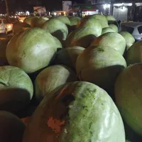 هندوانه پوست نازک شیرین|خوردنی و آشامیدنی|رشت, بلوار گیلان|دیوار