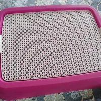 جای  دستشوی سگ سالم حتی یبارهم استفاده نشود