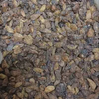 کشمش آفتابی آبگیری|خوردنی و آشامیدنی|ساوه, |دیوار