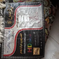 فرش پاتریس ۱۲ متری|فرش|رشت, نامجو|دیوار