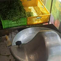 استخدام نیروی کار ماهر