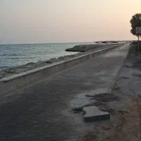 حواله ۲۰۷ تیو تری