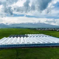 ساخت گلخانه و تجهیزات گلخانه