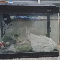 آکواریوم شیشه خم