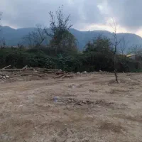 فروش زمین مسکونی|فروش زمین و ملک کلنگی|لاهیجان, لیالستان|دیوار